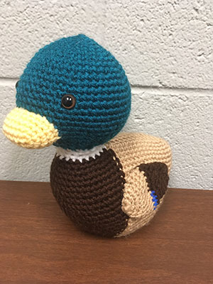 stuffy duck