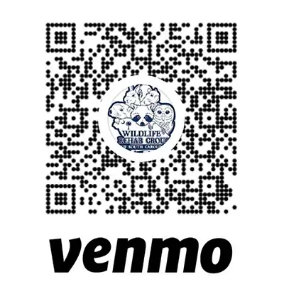 Venmo QR Code